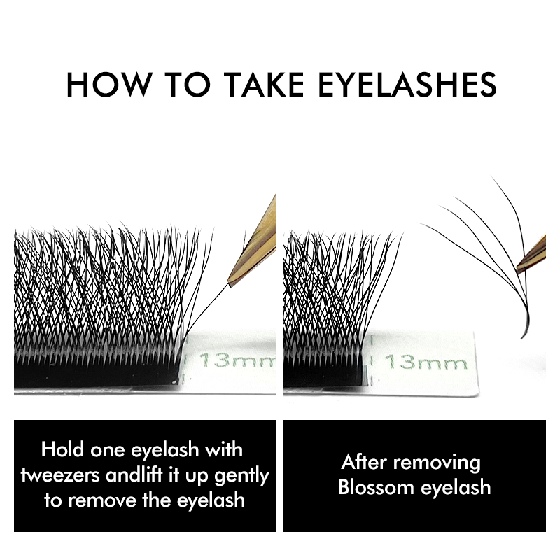 NATUHANA W-شكل 4D 5D حجم رمش م - مراجعة Eyelash Extension Human Hair وسعره